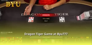 Dragon Tiger