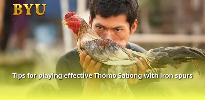 Tips for playing effective Thomo Sabong with iron spurs